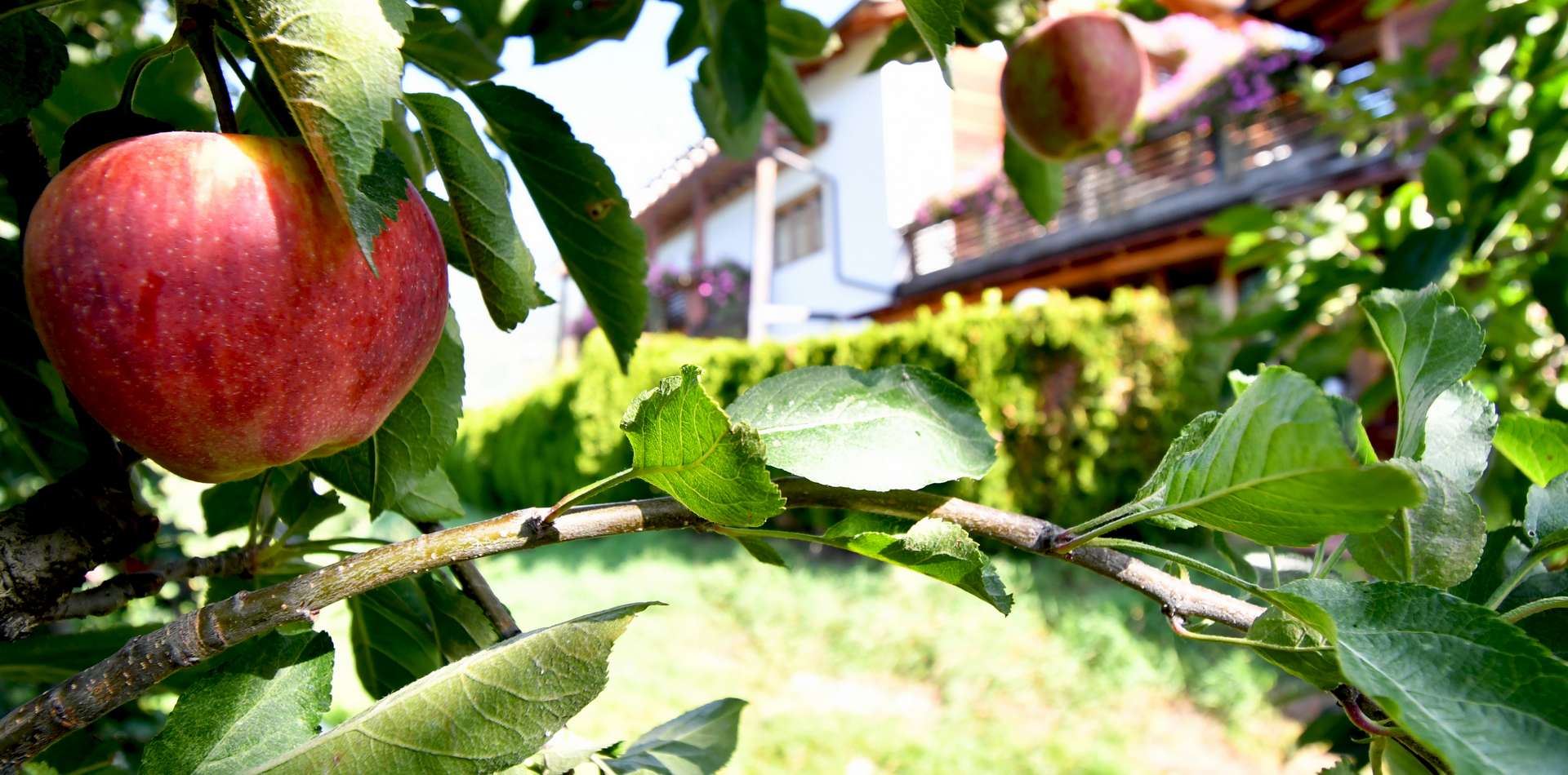 Hofeigene Produkte am Obermoarhof in Brixen - Südtirol