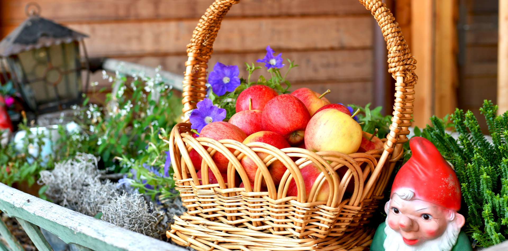 Hofeigene Produkte am Obermoarhof in Brixen - Südtirol