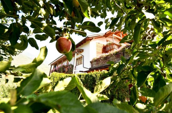 Impressionen vom Obermoarhof