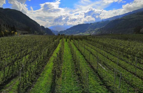 Impressionen vom Obermoarhof