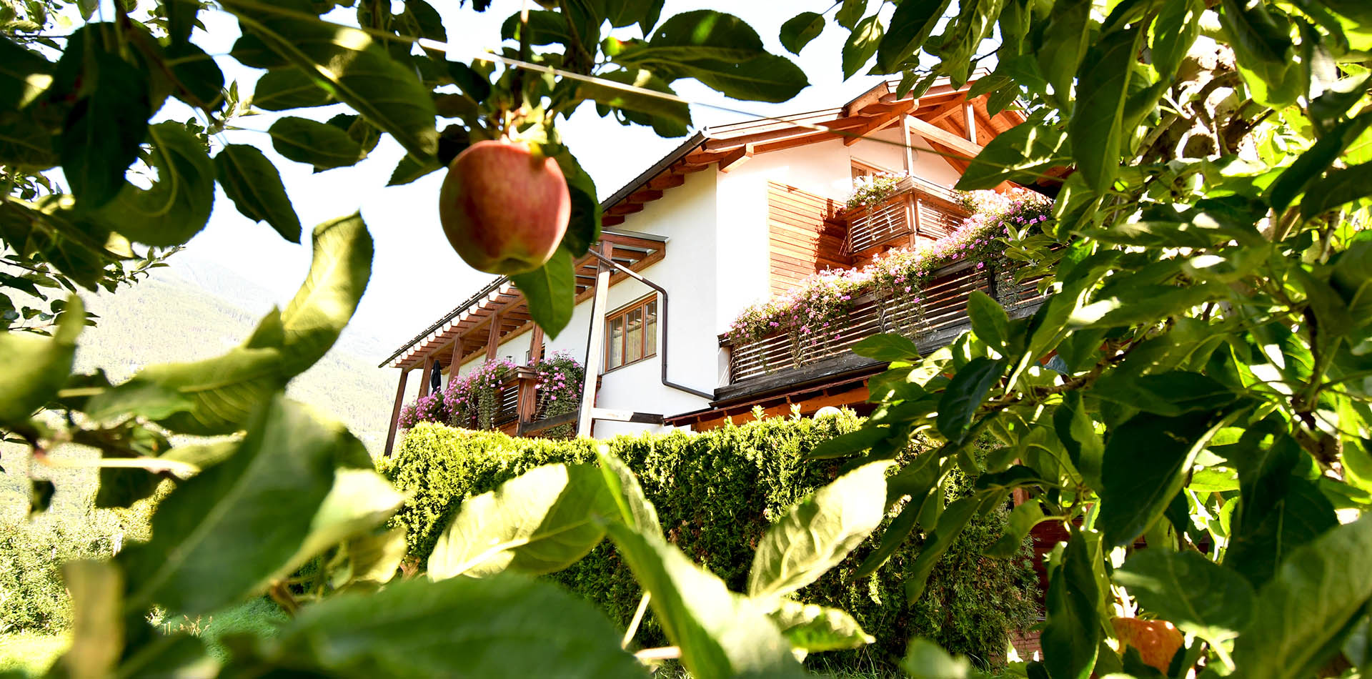 Urlaub auf dem Bauernhof in Albeins/Brixen