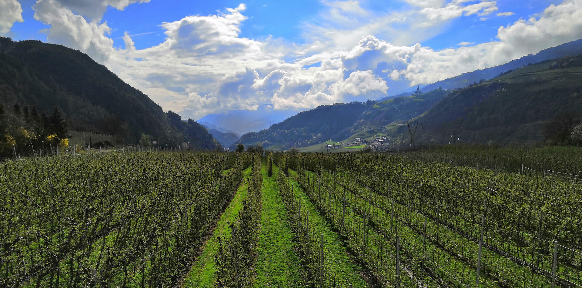 Urlaub in Brixen / Südtirol