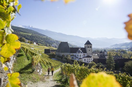 Brixner Weinherbst