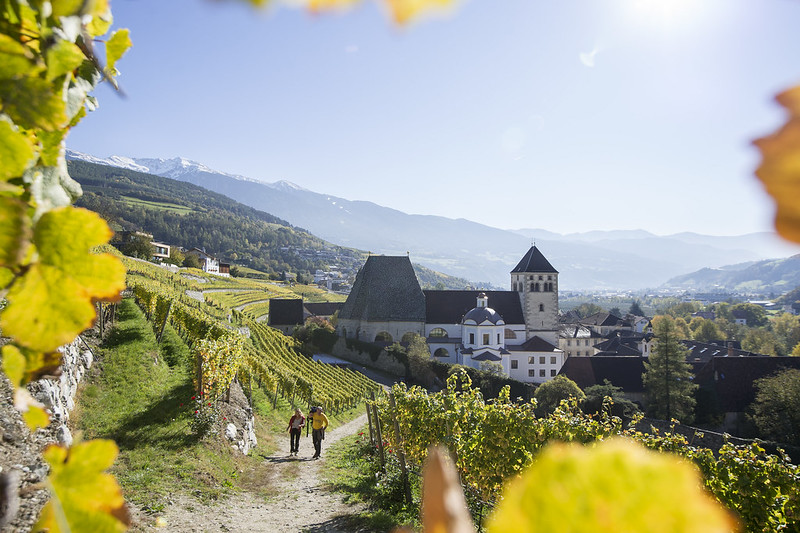 Brixner Weinherbst